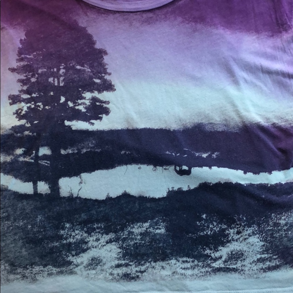Urban outfitters • Y2K forest ombré crop top - Picture 2 of 5